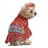 Poncho Royal dogs