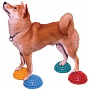 FitPAWS Paw Pods - set 4